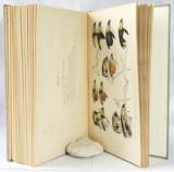 Schlegel, H. Natuurlijke Historie van Nederland. De Dieren van Nederland. Gewerfelde Dieren.