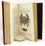 Huxley, T. H., F.R.S. The Crayfish. An introduction to the study of zoology.