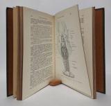 Kükenthal, Willy. Leitfaden für das Zoologische Praktikum.