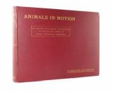 Muybridge, E. Animals in motion. An electro-photographic investigation of consecutive phases of animal progressive movements.