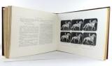 Muybridge, E. Animals in motion. An electro-photographic investigation of consecutive phases of animal progressive movements.