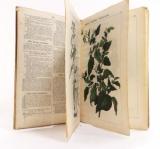 Hochstetter, Ch. F. Die Giftgewächse Deutschlands und der Schweiz, in lithographirten und colorirten Abbildungen mit erläuterndem Text. Zum Gebrauch in Volksschulen, Realanstalten und Gymnasien. Wie...