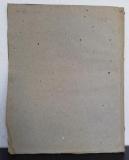 Rapp. Über das Molluskengeschlecht Doris und Beschreibung einiger neuen Arten Desselben.