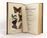 Speyer, A. Deutsche Schmetterlingskunde für Anfänger. Nebst einer Anleitung zum Sammeln.