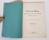 Balásfalva, Anton Orosz de (Verf.). Oesterreichs Rettung. Offene Rede an den aus allgemeiner Wahl hervorgegangenen österreichischen Reichsrath.