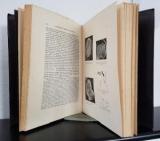 Niethammer, Anneliese. Die mikroskopischen Boden-Pilze.