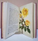 Hoffmann, Julius. Rosenbuch für Gartenliebhaber.