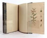 Schleiden, M. J. Die Pflanze und ihr Leben. Populäre Vorträge von M. J. Schleiden, Dr. Prof. in Jena.