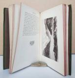 Simmel, Eugen. Spaziergänge in den Alpen.