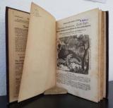 Stahl, Heinrich. Die Wasserwelt. Das Leben des Wassers in allen seinen Gestalten und Formen in Quell, Strom, See und Ozean, als Eis, Regen, Niederschlag u. s. w.