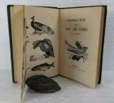 Bland, J. Grandpapa's Tales about Birds and Fishes.
