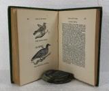Bland, J. Grandpapa's Tales about Birds and Fishes.
