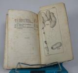 Hlubek, Fr. X. Unterricht in der Maulbeerbaum- und Seidenzucht für das Landvolk.