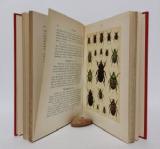 Hofmann, Ernst. Der Käfersammler. Unsere größeren Käferarten in Wort und Bild.