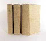 Schmidl, Adolf. Wien's Umgebungen auf zwanzig Stunden im Umkreise. Nach eigenen Wanderungen geschildert. In über 3 Bänden zusammengefasstes Werk in 3 Abtheilungen. Mit Beiträgen von J. Feil.