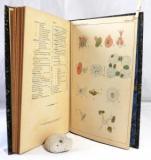 Tempère, M. J. Le Micrographe Prèparateur. Volume 1-3 1893-1895; Vol. 7 1899 et Revue des Journaux Francais & Étrangers paraissant tous les deux mois; Vol. 11 1903.