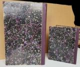 Schnizlein, Adalbert. Analysen zu den natürlichen Ordnungen der Gewächse und deren sämmtlichen Familien in Europa.