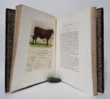 (Lefour, Pierre-Aristide-Adolphe). Description des Espèces Bovine, Ovine et Porcine de la France. Tome I - Espèce Bovine.