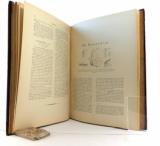 Schatz, E. II. Theil. Die Familien und Gattungen der Tagfalter systematisch und analytisch bearbeitet von Dr. E. Schatz nach dem Tode des Verfassers fortgesetzt von j. Röber.