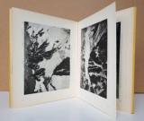 Spelterini, Eduard. Über den Wolken. Par dessus les Nuages.