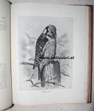 Butler, Arthur G. et al. British Birds with their Nests and Eggs.