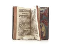 D´Argens, Markis Begebenheiten Der Gräfin von Mirol, Oder die betrübten Wirkungen der Liebe und Eifersucht.