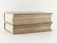Wiedemann, Joseph Georg und Max Fischel. Mahlerische Streifzüge durch die interessantesten Gegenden um Wien. Vom Verfasser der Streifzüge nach Venedig und Istrien.