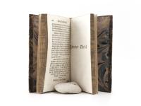 Sterne, Laurence. Herrn Yoricks, Verfasser des Tristram Shandy, Reisen durch Franckreich und Italien; als ein Versuch über die Menschliche Natur.