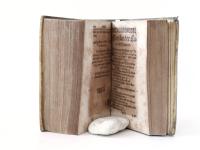 Kessler, Andreas. Bellum Religiosum S. Petri & R. Papae. Das ist / Religionskrig zwischen dem H. Apostel Perro und dem Römischen Papst / Vom vergebliche Ruhm der Päpstischen Succession auff S. Petri...