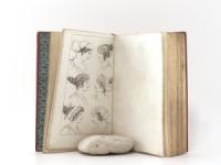Göttingischer Taschen-Kalender für das Jahr 1804. Göttingisches Taschenbuch zum Nutzen und Vergnügen für das Jahr 1804. Mit Kupfern.