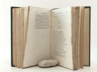 Baudelaire, Charles. Les Fleurs du Mal.