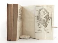 Stein, Georg Wilhelm. Theoretische Anleitung zur Geburtshülfe. Zum Gebrauche der Vorlesungen. I. Theil.