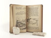 Solereder, Ludwig. Das Buch der Anschauung. Der Sprech-Schreib-Lese-Fibel Fortsetzung. I. Abteilung.