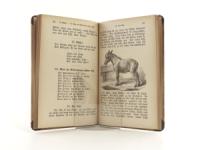 Solereder, Ludwig. Das Buch der Anschauung. Der Sprech-Schreib-Lese-Fibel Fortsetzung. I. Abteilung.