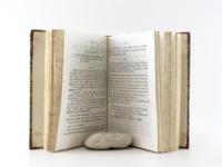Preyssinger, P. Ludwig. Vademecum für Freunde der Naturwissenschaft. Erster Band (alles Erschienene).