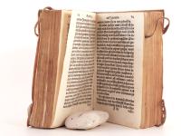 Coelius Casparus. [2]Newe warhaft außführliche Beschreibu(n)g der Jüngstabgesandten Japinischen Legation ganzen Raiß aus Japon bis gen Rom und widerumb von dannen in Portugal bis zu ihrem abschid ...