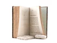 (Gross-Hoffinger, Anton Johann.) Buch der Freiheit oder Geist des 19ten Jahrhunderts von einem ausgewanderten Oesterreicher.