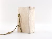 Peller, Cgristoph. Politicus sceleratus, impugnatus: Id est: Compendium politices novum,