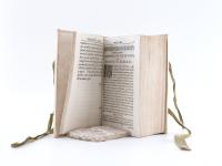 Peller, Cgristoph. Politicus sceleratus, impugnatus: Id est: Compendium politices novum,