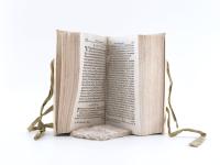 Peller, Cgristoph. Politicus sceleratus, impugnatus: Id est: Compendium politices novum,