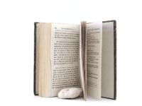 Hufeland, Christoph Wilhelm. Makrobiotik oder die Kunst das menschliche Leben zu verlängern. Erster und Zweyter Theil.