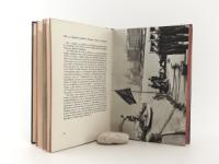 Martiny, Nikolaus von. Bilddokumente aus Österreich-Ungarns Seekrieg 1914-1918. Mit Schilderungen der wichtigsten Kampfhandlungen zur See unter Benützung in- und ausländischer amtlicher Quellen, Ta...