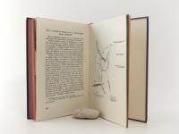 Martiny, Nikolaus von. Bilddokumente aus Österreich-Ungarns Seekrieg 1914-1918. Mit Schilderungen der wichtigsten Kampfhandlungen zur See unter Benützung in- und ausländischer amtlicher Quellen, Ta...