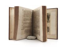 (Wegelin, Georg Heinrich). Spicilegium observationum ad capitulationem augustissimi imperatoris Caroli VI.: Cuius instituta collatione cum capitulatione Josephina, commentario Nitschiano haud ita prid...