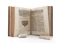 (Wegelin, Georg Heinrich). Spicilegium observationum ad capitulationem augustissimi imperatoris Caroli VI.: Cuius instituta collatione cum capitulatione Josephina, commentario Nitschiano haud ita prid...