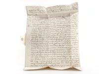 (Wegelin, Georg Heinrich). Spicilegium observationum ad capitulationem augustissimi imperatoris Caroli VI.: Cuius instituta collatione cum capitulatione Josephina, commentario Nitschiano haud ita prid...