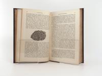 Darwin, Charles. Reise eines Naturforschers um die Welt.