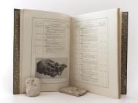 Ward, Henry A. Catalogue of the Ward-Coonley Collection of Meteorites.