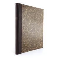 Bütschli, O. (Otto). Untersuchungen über mikroskopische Schäume und das Protoplasma.