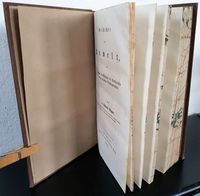 Wagner, Andreas. Geschichte der Urwelt, mit besonderer Berücksichtigung der Menschenrassen und des mosaischen Schöpfungsberichtes.
